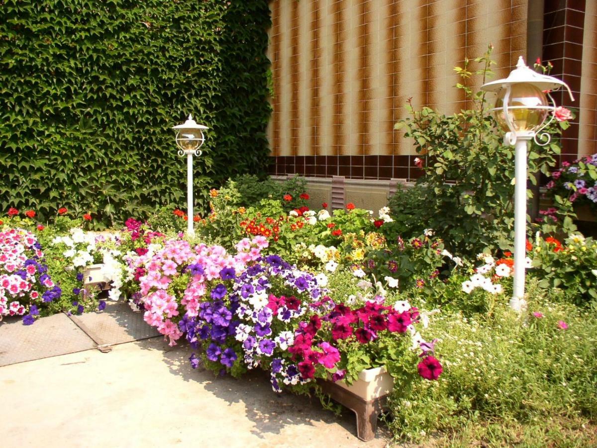 Amalia Apartman Gyula Exterior photo